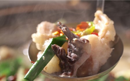 自宅で簡単 本格 薬膳 火鍋・ 牛もつ鍋 セット 4～5人前 / 南島原市 / はなぶさ[SCN068]