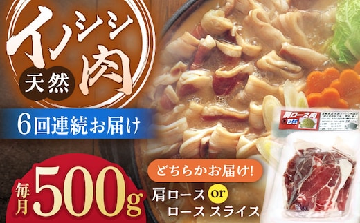 
										
										【6回定期便】ジビエ 天然イノシシ肉 肩ロース or ロース スライス500g【照本食肉加工所】 [OAJ043]
									