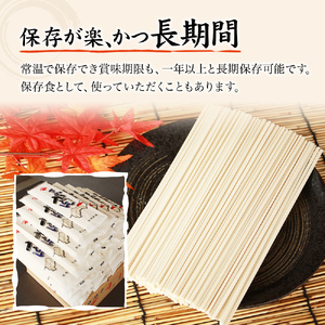 紀州屋 讃岐 うどん 大容量 120人前（3人前×40袋） 乾麺 本場さぬきうどん 麺類 讃岐うどん 国産 香川県 ご当地 高評価 特産品 長期保存 干しうどん さぬきの老舗 製麺所 人気 お取り寄せ