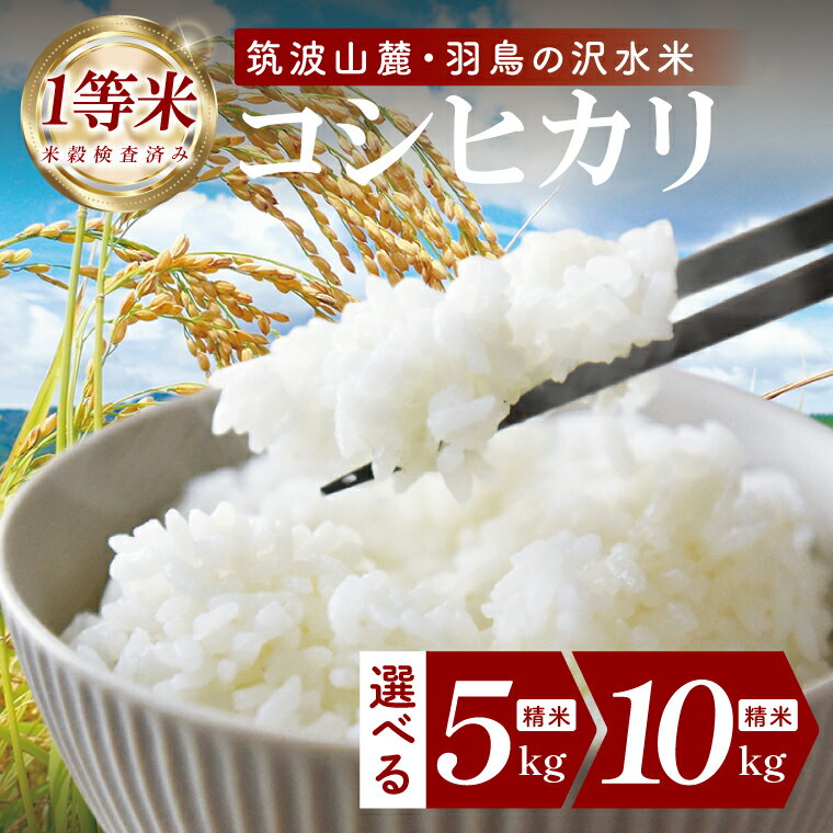 【ふるさと納税】【選べる内容量】筑波山麓・羽鳥の沢水米 コシヒカリ 精米 5kg・10kg【茨城県共通返礼品：桜川市】|お米 米 こしひかり 茨城県 取手市（CA001）