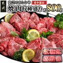 【ふるさと納税】≪希少部位≫宮崎ひまわり牛焼肉6種盛り約800g - 都城産 ひまわり牛 焼き肉 6種類 カメノコ/クリミ/ウデカルビ/トモサンカク/シンシン/ミスジ 希少部位 バーベキュー 送料無料 AC-2604 【宮崎県都城市は2年連続ふるさと納税日本一！】