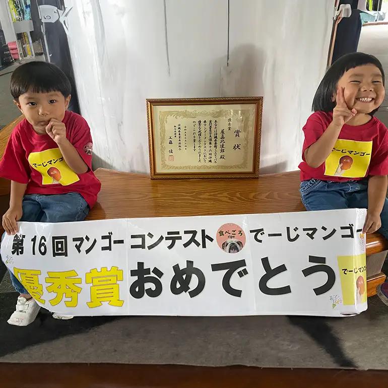 【2026年発送】【令和5年度優秀賞受賞】でーじマンゴーアップルマンゴー2kg(優品) 26-5