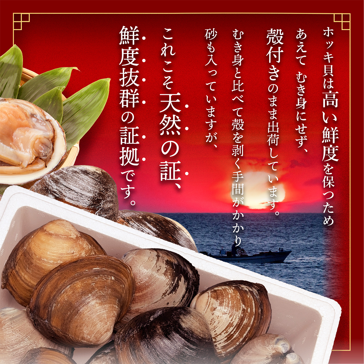 北海道 別海町産 活ホッキ 2.5kg【UY0000025】_イメージ4