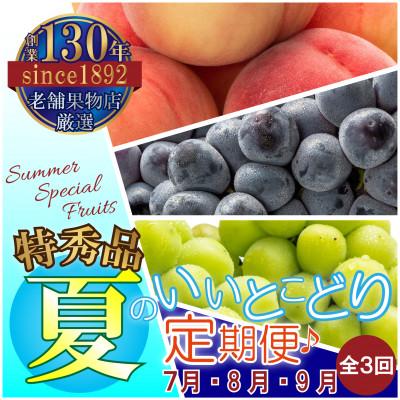 ふるさと納税 三豊市 【発送月固定定期便】夏のいいとこどり定期便♪(7月・8月・9月)全3回