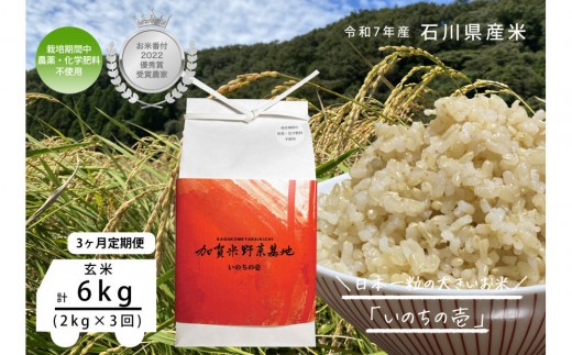 
                  【3ヶ月定期便】【お米番付優秀賞受賞農家】日本一粒の大きいお米『いのちの壱』玄米2kg×3回
                