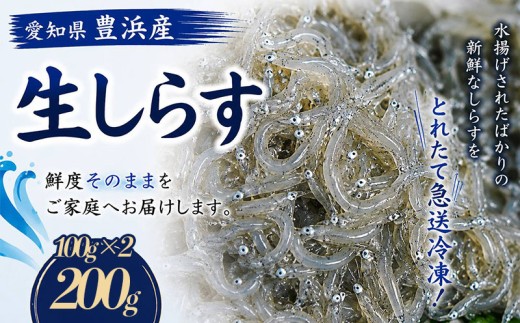 訳あり 生しらす 200g 小分け 簡易包装 愛知県 南知多町