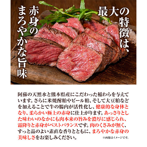 国産和牛 あか牛 極ビーフシチュー 2人前 250g × 2 三協畜産 《60日以内に出荷予定(土日祝除く)》---sms_skabfstu_23_60d_18000_2p---