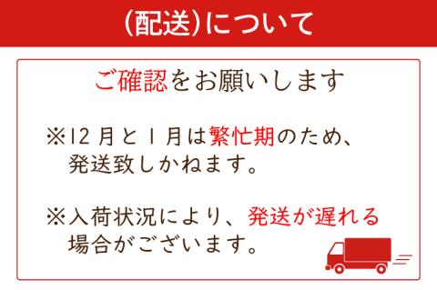 DN-16【6か月定期便】「限定価格」馬刺し　シャトーブリアンの肉塊刺し（冷凍）400g　九州しょうゆ付き