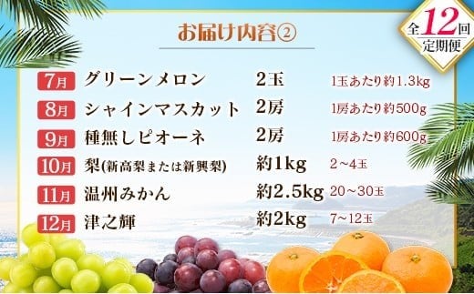 【12回定期便】旬 人気 フルーツ 南国宮崎産 マンゴー ライチ 金柑たまたま シャインマスカット ピオーネ いちご みかん 日向夏 メロン 梨 柑橘 きんかん ぶどう 果物 詰め合わせ 宮崎県 九州