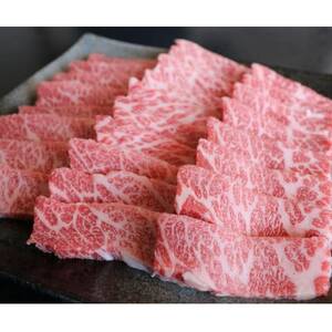 厳選されたGI認証　くまもとあか牛　特選焼肉用　500g(美里町)【配送不可地域：離島】【1502428】