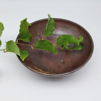ふるさと納税 備前市 備前焼　鉢(登り窯) |  | 01