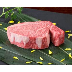 【黒毛和牛】熊本県産 ヒレステーキ 400g(200g×2パック)(益城町)【配送不可地域：離島】【1525195】