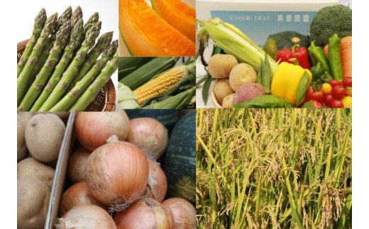 【先行予約】野菜 定期便 6回 <令和7年産 >美景農園 グリーンアスパラ1kg、赤肉メロン2玉、夏野菜セット(7～9品)、スイートコーン6本、秋の味覚セット(じゃがいも3品種、玉ねぎ、人参、坊ちゃん南瓜)、米(新米)5kg[080-28]