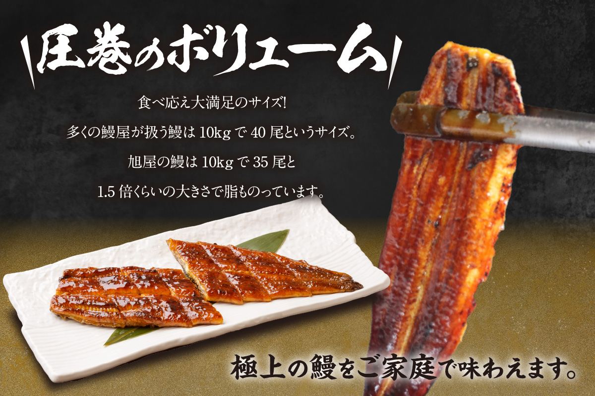 【お中元用】国産特大うなぎ長焼き５尾(約２００ｇ)　合計約１，０００ｇ以上（2278）