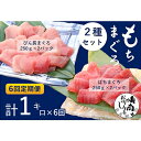 【ふるさと納税】【6回定期便】バチマグロ切落し×びん長マグロ中トロ切落し 合計1kg（各250g×2パック）×6回【配送不可：離島】　定期便・ 天然マグロ 2種セット 赤身 サッパリ 濃厚 　お届け：※寄附金のご入金確認の翌月以降、初回発送から6ヶ月連続でお届けします。