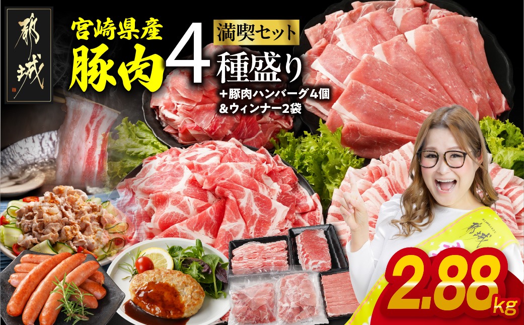 宮崎県産豚肉バラエティ2.88kgセット_14-N201-ESHW