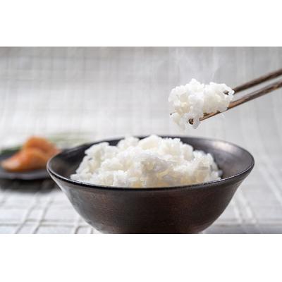 ふるさと納税 越知町 令和8年産　新米　仁淀ブルーの恵み「おち米」 10kg(香り米100%) |  | 01