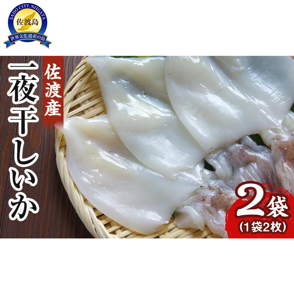 【ふるさと納税】干物 イカ 佐渡産 4枚 ( 1袋2枚 × 2 ) 一夜干しいか | 魚 お魚 さかな 食品 人気 おすすめ 送料無料