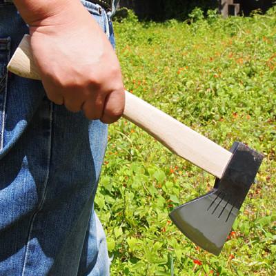 ふるさと納税 香美市 土佐打刃物 銀杏刃型 切斧 |  | 01