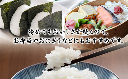 令和7年産　毎月お届け　定期便　富水米　精米　20kg×12か月　にこまる