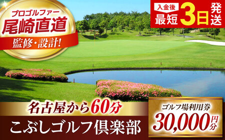 ゴルフ場 利用券 30,000円分 [AVAO006]岐阜 東海