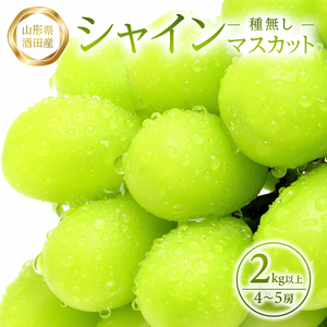 SB0761　農家直送　シャインマスカット　2kg以上(4～5房)