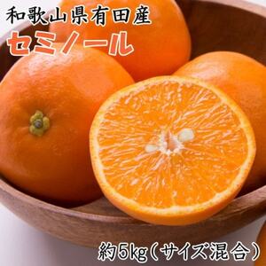 【2025年4月下旬より順次発送】和歌山有田産セミノールオレンジ約5kg(サイズ混合) 【日高町】【1424739】