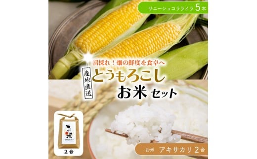 とうもろこし 米 セット サニーショコラライラ 5本 2kg コメ 2合 お米 アキサカリ ごはん 先行予約 トウモロコシ コーン スイートコーン 甘い とうもろこしご飯 レシピ付き 期間限定 夏 旬 野菜 鍋 炒め物 煮物 スープ 弁当 惣菜 おかず 健康 新鮮 国産 送料無料 吉野川市 徳島県
