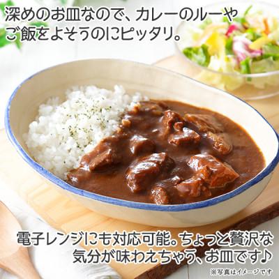 ふるさと納税 弟子屈町 【北海道】 手作り カレー皿 444 |  | 01