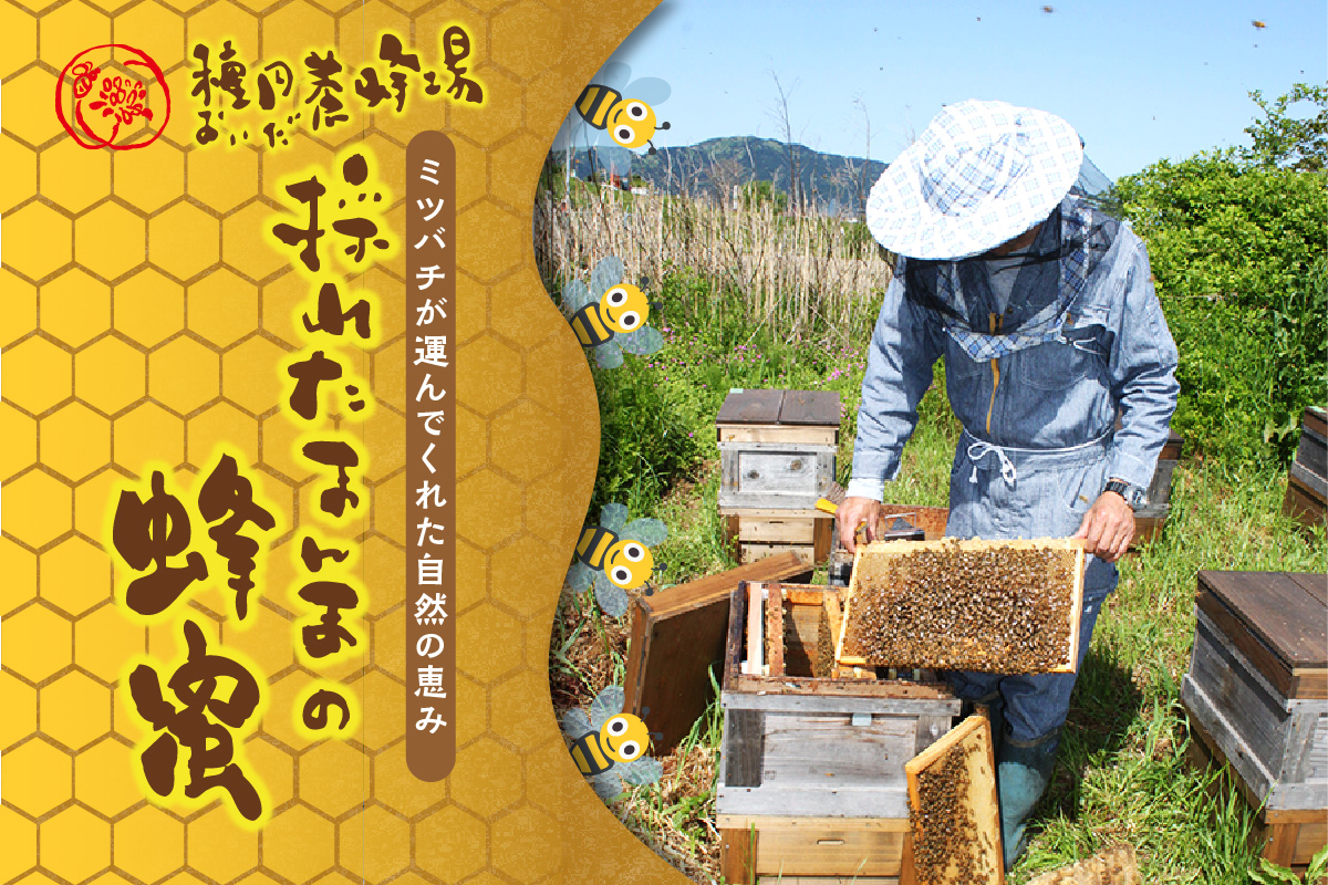 《14営業日以内に発送》【国産蜂蜜】白花豆はちみつ 190g×2個 と ミツロウキャンドル 1個 ( はちみつ 蜂蜜 ハチミツ 白花豆 ミツロウ キャンドル ろうそく )【022-0004】