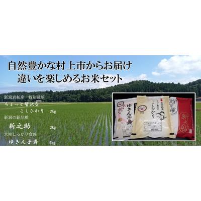 ふるさと納税 村上市 【新米受付・令和8年産米】違いを楽しめるお米セット コシヒカリ・ゆきん子舞・新之助 NA4110 |  | 01