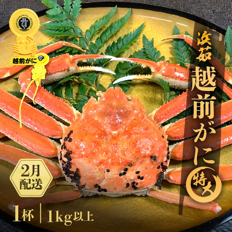 【ふるさと納税】≪浜茹で≫越前がに 特大サイズ 1杯（生で1kg以上）【雄 ズワイガニ かに カニ 蟹 越前ガニ 姿 ボイル 冷蔵 福井県】【2月発送分】希望日指定可 備考欄に希望日をご記入ください [e68-x002_02]
