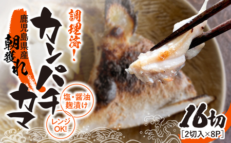 1277 調理済み！ カンパチ カマ 塩 ・ 醤油麹（ こうじ ）漬け 16切（ 焼タイプ ） KN037-002-02 魚 麹漬け