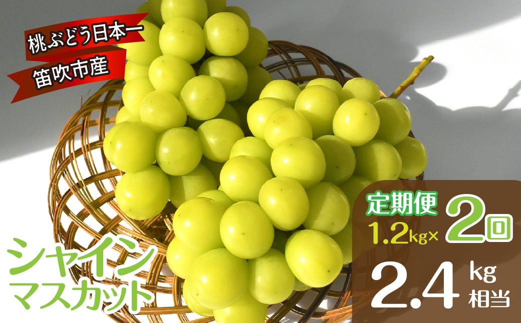 
                  【2026年度先行予約】笛吹市産シャインマスカット定期便2.4kg相当（1.2kg×2回）〈令和8年発送　シャイン　ぶどう　葡萄　果物　くだもの　フルーツ　新鮮　産地直送　農家直送　贈答　ギフト　山梨　笛吹市　〉 
157-058-26y
                