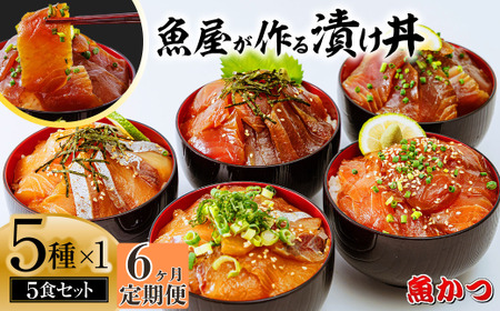 【6ヶ月 定期便】漬け丼 5種×1パック 計5食セット 漬け丼 漬け丼 漬け丼 漬け丼 定期便