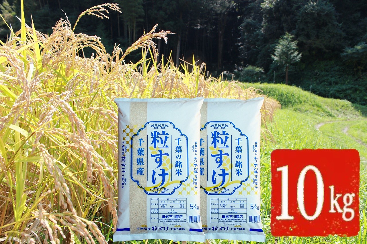 
                  令和7年産 特A評価  粒すけ 精米 10kg｜千葉ブランド米 新品種 大粒 しっかり食感 粘り 甘み ご飯 おにぎり お弁当 朝食｜千葉県 君津市
                
