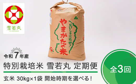 新米 米 令和7年産 【玄米3回定期便】 雪若丸 30kg×3回 2026年1月・2026年4月・2026年7月発送 大石田町産 特別栽培米 玄米 ja-yugxa30x3-tkk1to7