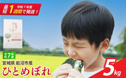 【 令和7年産 】 宮城県産 ひとめぼれ 5kg 単品 一等米 すぐ 届く 米 精米 東北米 ふるさと納税 米 お米 白米 コメ ライス ご飯 米5kg 5キロ ごはん 美味しい 国産 宮城県 岩沼市 kome okome お取り寄せ 産地直送 東北 SD001