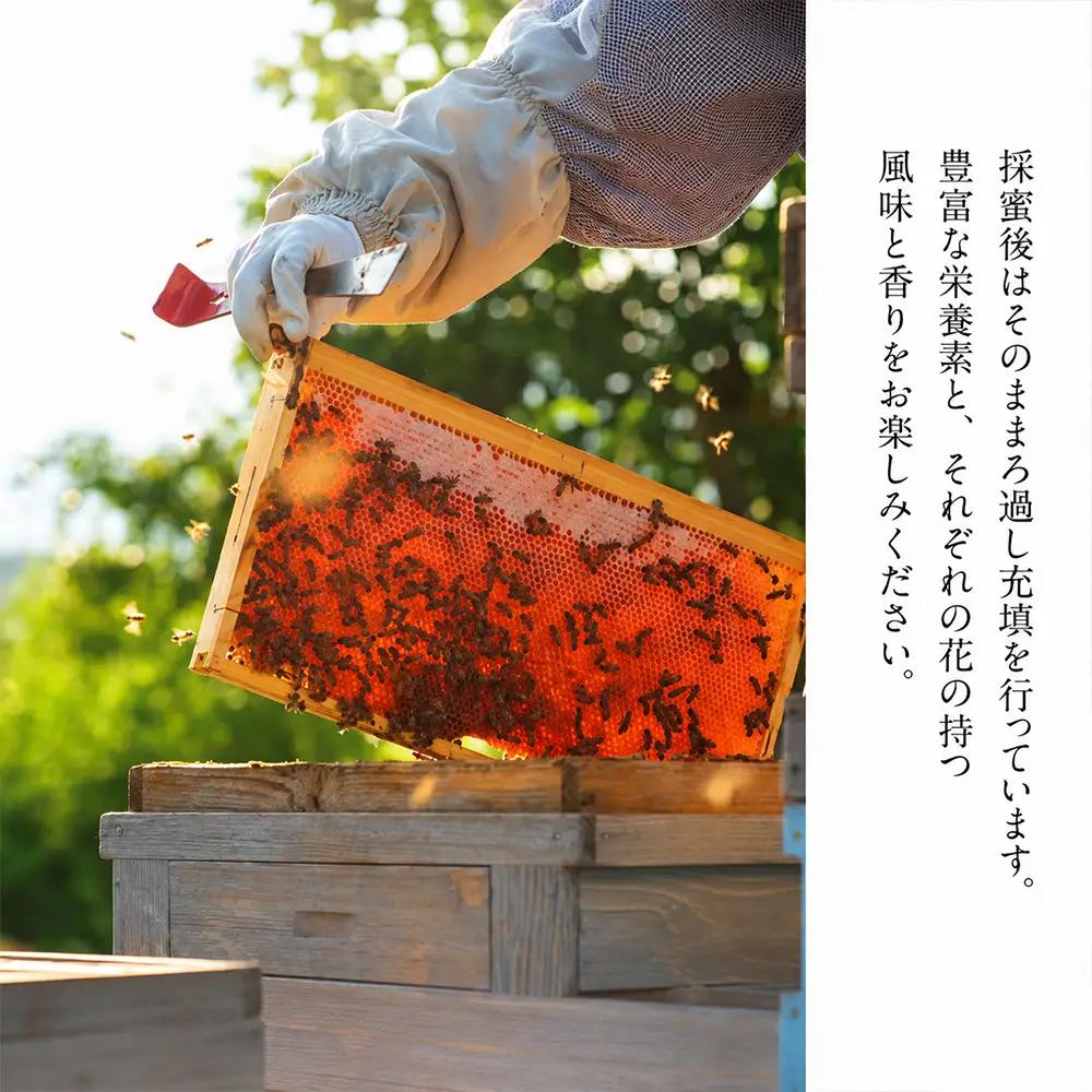 国産 非加熱はちみつ そば（600g×1本）｜ 純粋 天然 稀少 長期保存 「大西養蜂場」