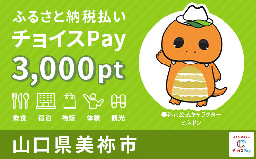 
美祢市チョイスPay 3,000pt（1pt＝1円）【会員限定のお礼の品】
