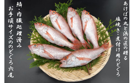 山陰浜田港あけぼの丸の塩焼き・煮付け用お手頃のどぐろセット（冷凍） 魚介類 魚貝類 のどぐろ アカムツ 塩焼き 煮付 内臓処理済み 【146_2043】