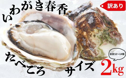 【ふるさと納税】【ブランドいわがき春香】【訳あり】食べごろサイズ 2kgセット 春香 牡蠣 牡蛎 いわがき 岩牡蠣 殻付き 海鮮 新鮮クリーミーな高級岩牡蠣 冷凍 生食 牡蠣ナイフ 説明書付き