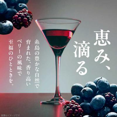 ふるさと納税 糸島市 2023年産 糸島産ブルーベリー・ブラックベリーワイン 720ml×2種セット[AHM002] |  | 01