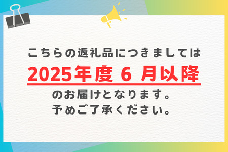 【2025年発送】沖縄県知事賞４度受賞（サンフルーツ糸満）マンゴー　家庭用　1kg