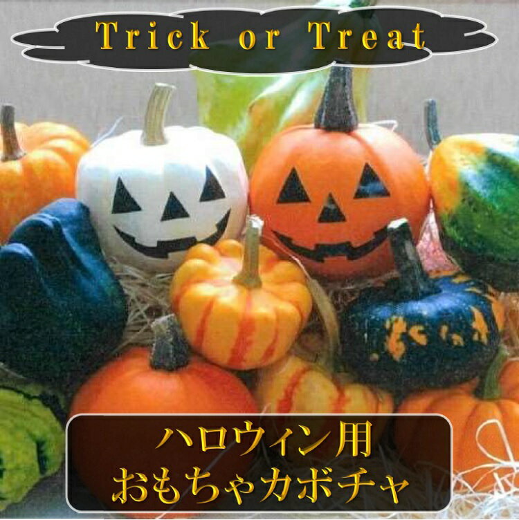 【ふるさと納税】おもちゃかぼちゃ おもちゃ かぼちゃ ハロウィン ハロウィン用 先行 受付