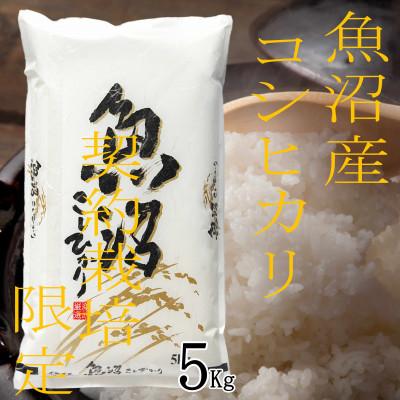 ふるさと納税 魚沼市 令和7年産【雪国逸品 精米5kg】越後魚沼郷 魚沼産コシヒカリ