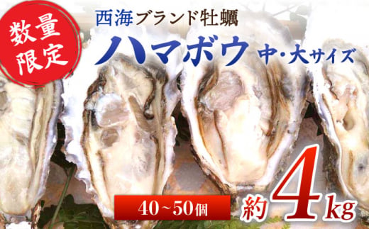 
【着日指定可】西海 ブランド 牡蠣 「 ハマボウ 」 約4kg（40～50個）（中～大サイズ）＜ハマフジ水産＞ [CES006]
