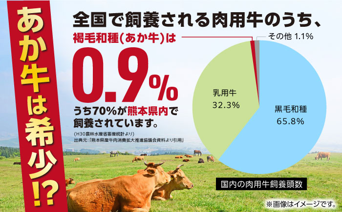 熊本県産 あか牛 白 ホルモン 計500g (250g×2P) 熊本 赤牛 褐牛 あかうし 褐毛和種 肥後 冷凍 国産 牛肉【五右衛門フーズ】[YBZ010]