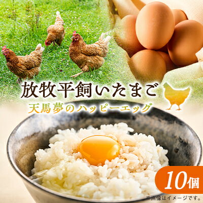 【ふるさと納税】天馬夢のハッピーエッグ　10個【配送不可地域：離島・沖縄県】【1556143】