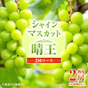 【ふるさと納税】ぶどう 定期便 2025年 先行予約 シャイン マスカット 晴王 各月2房（1房600g以上） 2回コース 葡萄 岡山県産 フルーツ ギフト　定期便・ 果物 ぶどう フルーツ 種なし 皮ごと 甘い 大粒 　お届け：2025年8月下旬～2025年9月下旬